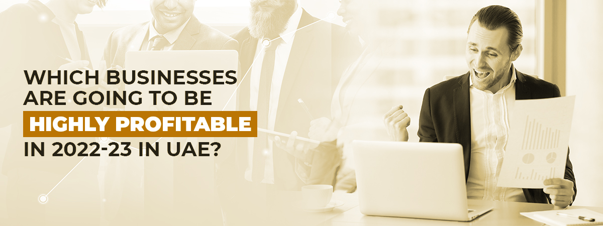 Which Businesses Are Going To Be Highly Profitable In 2022-23 In UAE?