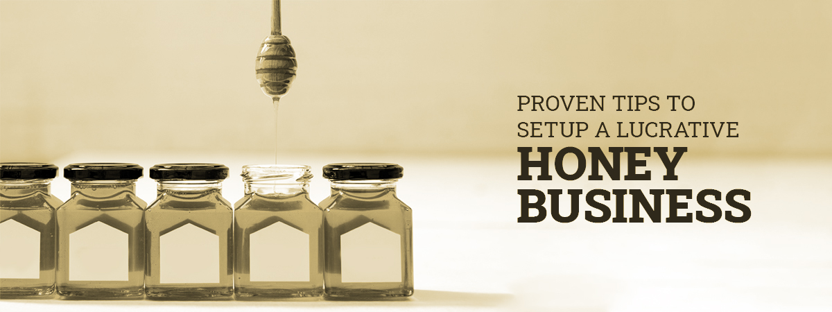 Proven Tips To Setup A Lucrative Honey Business Proven Tips To Setup A Lucrative Honey Business